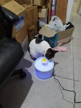 2.4L Automatic Cat Water Fountain LED Electric Mute Water Feeder USB Dog Pet Drinker