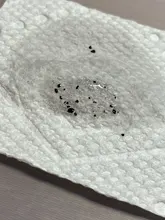 Recién llegado, Gel de esmalte de uñas de huevo de codorniz, 15ML, Gel UV de cáscara de huevo, efecto de punto, laca de uñas semipermanente para arte de uñas