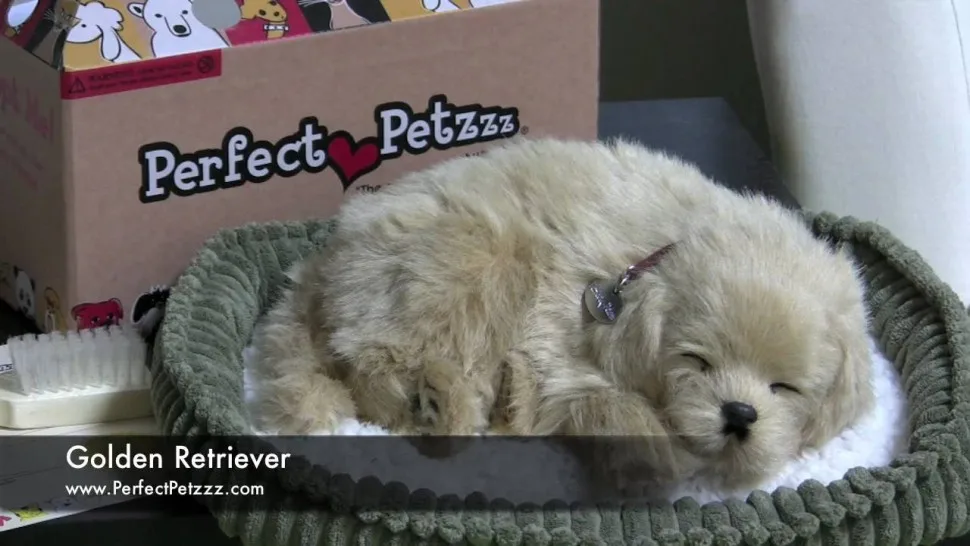 Щенок золотого ретривера с дыханием PerfectPetzzz