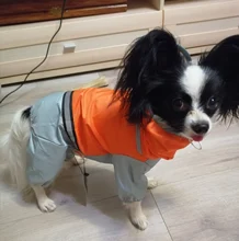 Jumpsuit Raincoat Pet-Cloak Teddy Waterproof-Jacket HOOPET Dogs Chihuahua for Small Cat