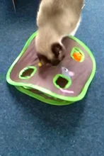 Juego de ratones de Gato para mascotas, tienda de campaña con campana de juguete de inteligencia con 9 agujeros, túnel de juego para gatos, ratón abatible, juguetes para mantener a los gatitos activos