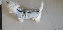 Jacket Vest Puppy-Clothing Pug-Coat Small Dogs Chihuahua Waterproof Winter Teddy Pet-Dog
