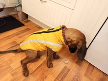 MySudui Medium Big Dog Winter Clothes For Dogs Pets Clothing Reflective Dog Jackets Outdoor