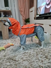 Jumpsuit Raincoat Pet-Cloak Teddy Waterproof-Jacket HOOPET Dogs Chihuahua for Small Cat