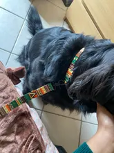 National style Nylon Printed Dog collar and leash set Adjustable Puppy Small 