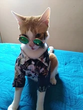 Summer Pet Printed Clothes For Dogs Floral Beach Shirt Jackets Dog Coat Puppy Costume