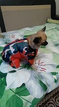 Winter Pet Dog Coat Jacket Thicken Warm Clothes For Dogs Waterproof Reflective Puppy