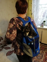 Backpack Teddy Carrying Golden-Retriever Chest-Bag Puppy Pets Dogs Kitten Outdoor Breathable