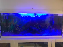 Luz RGB para acuario, lámpara de buceo con control remoto de 18-57cm, colorida, 90-260v, para plantas, pecera, uso con anfibios esenciales