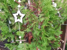 String-Lights Bulb Light-Lawn Solar-Lamp-Decoration Garden Outdoor Waterproof Christmas