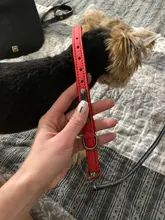 Collar Pet-Products Puppy Engraved French Bulldog Small Dogs Custom Personalized Pug