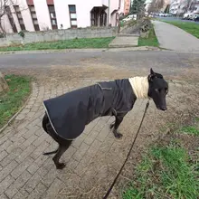 Jacket Clothing Coat Greyhound Waterproof Dog Dogs Large Super-Warm Medium Thick 
