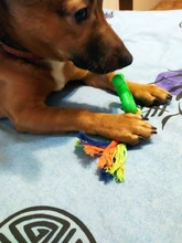 Interactive-Toy Rubber Knot Small-Dog-Training Durable-Shape Chewing Natural Pet-Dog