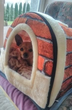 CAWAYI KENNEL Dog Pet House Products Dog Bed For Dogs Cats Small Animals cama perro hondenmand