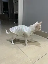 Dogs Vest Coat Pet-Clothing Puppy-Dog-Clothes Small Waterproof Winter Medium Warm Cute