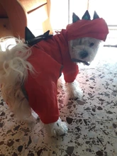 Raincoat Chihuahua Waterproof Summer Puppy Dogs Reflective for Small Nylon Ropa Perro