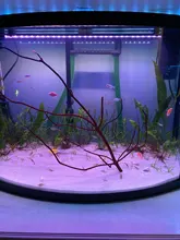 Aquarium-Lights Submersible Diving-Lighting Remote-Control-Lamp Waterproof LED RGB Amphibious