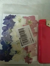 Hojas de resina de flores secas para decoración del hogar, Molde de resina UV Expoxy para arte de uñas, flores prensadas para artesanía para decoración del hogar