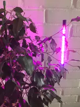 Phyto-Lamp Grow-Light Flower Seedlings Goodland USB Full-Spectrum For Plants LED 