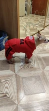 Jumpsuit Clothing Hoodies Jacket Pet-Dog-Coats Small Dogs Sport Apparel Winter Fashion