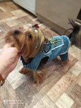 Dog-Vest Jacket Apparel Jeans Puppy Small Dogs Yorkshire Terrier Denim For Chihuahua