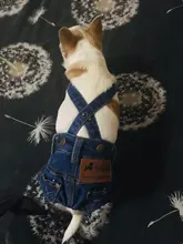 Jeans Clothing Jacket Coat Dog-Costume Puppy Dogs Small Denim Pet Medium for Chihuahua