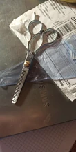 Tijeras profesionales de acero inoxidable para peluquería, herramienta para el cuidado del cabello, TLS Tls, 1 Uds.