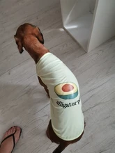Ropa de perro para perros pequeños estampado bonito verano mascotas camiseta perro ropa chaleco para gatos mascota de algodón de T camisa Pug ropa trajes