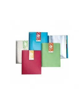

CASES WALLET REMOVABLE IN AND OUT TRANSPARENT TRANSLUCENT WITH 20 CASES