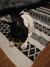 Tennis-Ball Shock-Absorber School-Training Professional for Club Reinforced-Rubber Durable