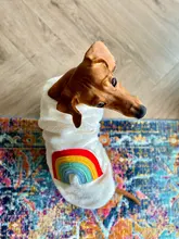Costume Puppy-Clothes Love-Rainbow-Vest PETCIRCLE Pet-Cat Dog Winter New Fit And Four-Color