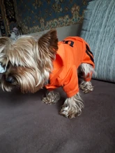 Jumpsuit Clothing Hoodies Jacket Pet-Dog-Coats Small Dogs Sport Apparel Winter Fashion