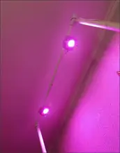 Phyto-Lamp Flower-Growth-Lighting Seedling Led Grow Cob-Chip Indoor-Plant Full-Spectrum