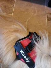 Arnés reflectante ajustable personalizado para perros, chaleco personalizado con parche de identificación, para caminar al aire libre