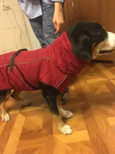 Jackets Dog-Coats Outdoor Winter Pet-Dog Dogs Large Medium for Warm Clothing Kurtka Ubranka