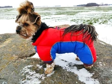 Coat Jacket Puppy Pet-Dog French Bulldog Small Dogs Waterproof Winter Super Cotton 