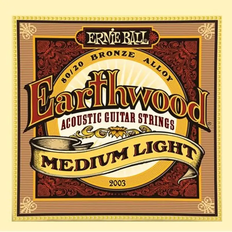 Струны для акустической гитары ernie ball 2003 | Спорт и развлечения