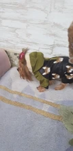 Disfraces de Bulldog Francés para perro, chaqueta de plumón de nieve cálida para invierno, abrigo para cachorros de animales pequeños y medianos, Gato, productos de ropa