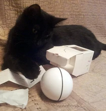 Ball Cat-Toy Pet-Product Interactive-Toys Electric Automatic Rechargeable Flashing-Ball