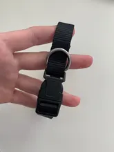 Collar de nailon para perros medianos y pequeños, hebilla de pinza resistente, para Chihuahua, rojo, negro, Azul, Morado, 20