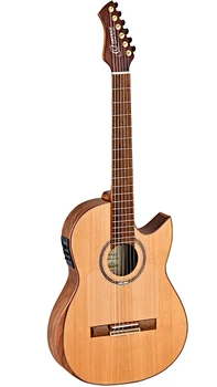

Flametal-two classic guitar with pickup, with case, Ortega