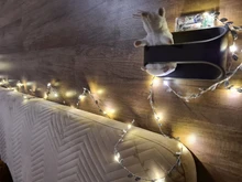 Tiny leaf garland fairy light decor LED Copper Wire string lights for Wedding forest