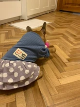 Dog-Dress Dogs-Skirt Yorkshire Summer Chihuahau Dot 