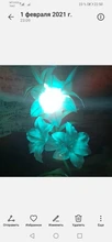 Led-Bulb Silicone-Lamp 360-Degree G4 White/white 12V/AC220V 10pcs 2W 3014 Angle 24led