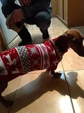 Sweater Bulldog-Outfit Chihuahua-Coat Knitted French Winter Dogs Warm for Small Pug-Clothing