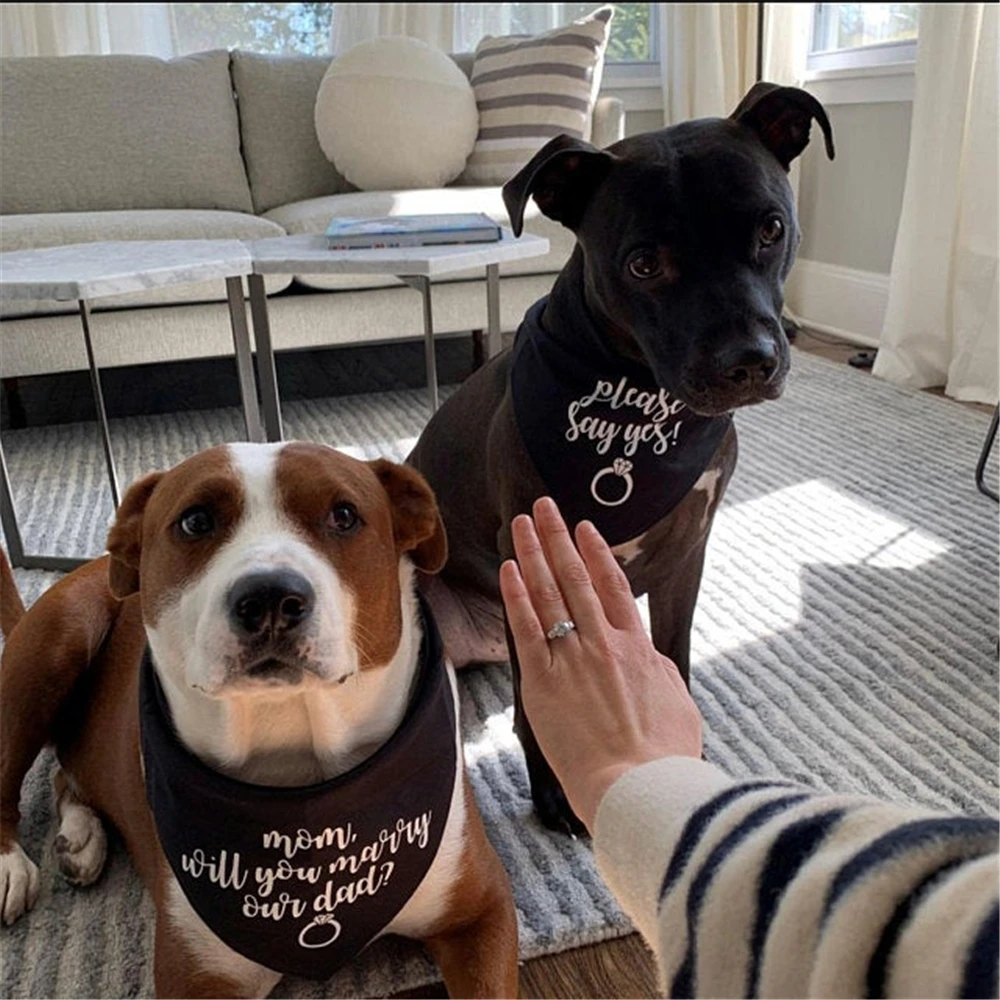 mom said yes dog bandana