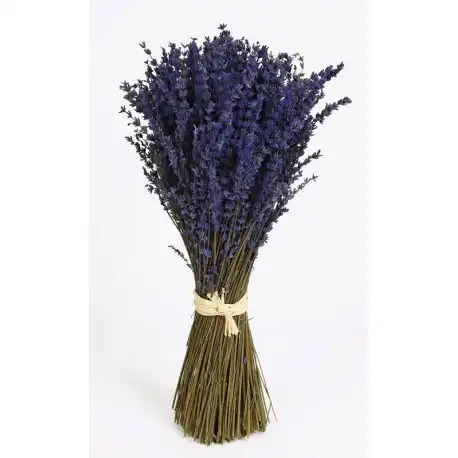 Lavande Naturelle Preservee Livraison Gratuite Emballage 150 Grs Environ 0 Tiges Mesure 45 Cm Fabrique En Espagne Aliexpress Lavande Naturelle Preservee Livraison Gratuite Emballage 150 Grs Environ 0 Tiges Mesure 45 Cm Fabrique En Espagne Aliexpress
