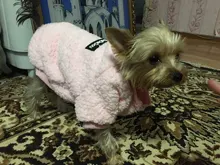 Puppy-Outfit Pet-Clothing Dogs-Coat Fleece Chihuahua York Winter Medium Hoodie Small