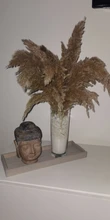 Pampas-Grass Reed Flower Wedding-Decoration Bunch Light-Color Natural Dried Christmas