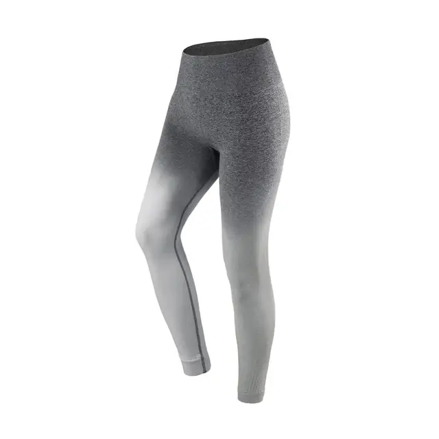 Seamless Compression Gradient Gym 